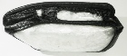 Чехол Pandora DXL 3970 (D605) на кнопке кобура